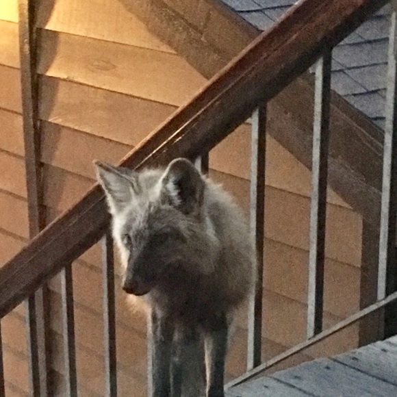 Meet your Posher, T - Picture 6 of 6